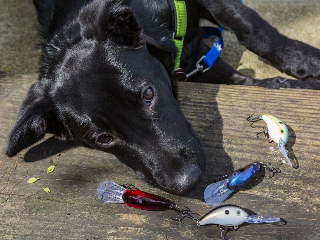 Strike King Pro Model 3XD - Image 2