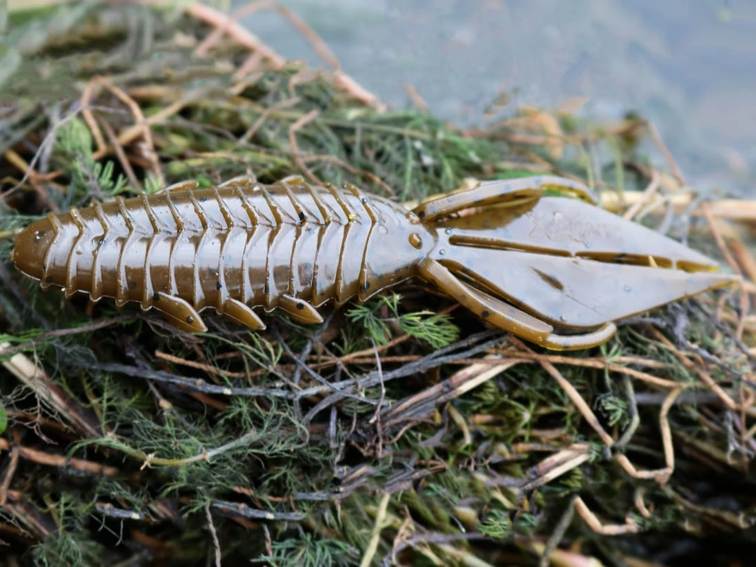 X Zone Lures Pro Series Adrenaline Bug - Image 2